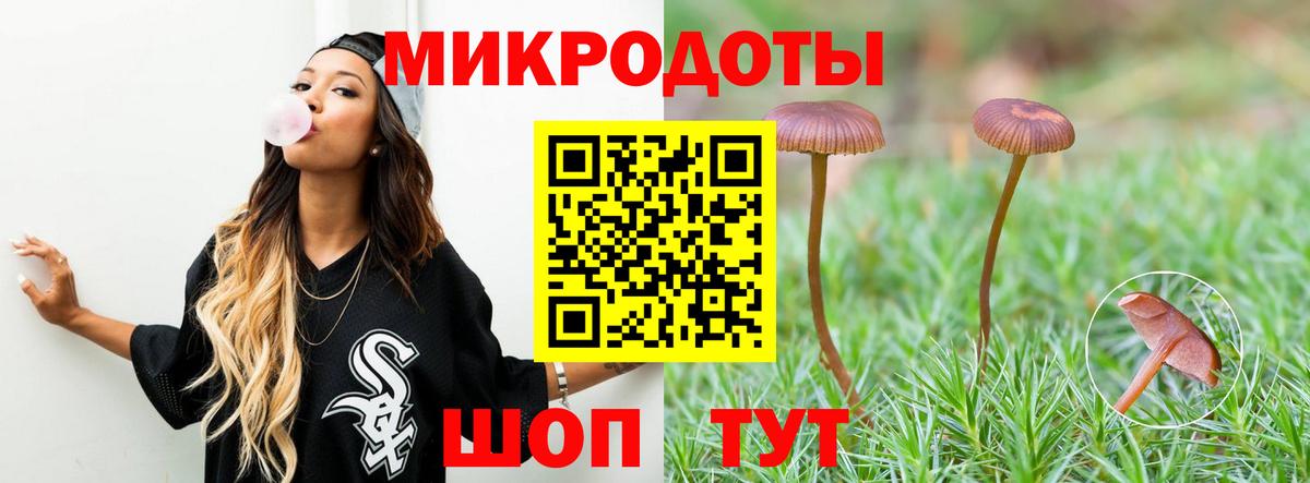 Псилоцибиновые грибы Psilocybine cubensis  Вход с VPN  Губкин  Псилоцибиновые грибы мухоморы 